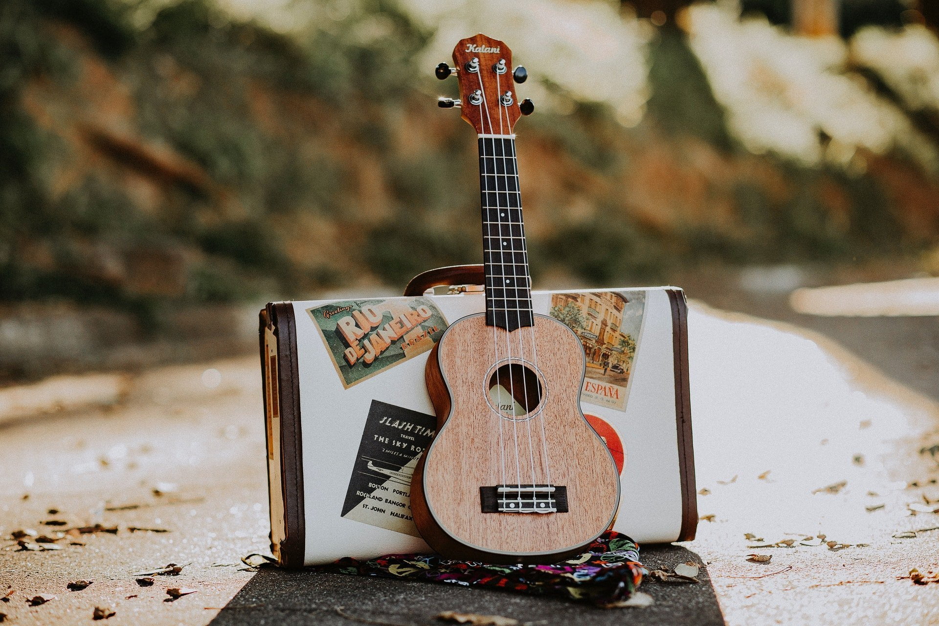 Cosa serve per suonare l'ukulele?