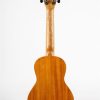 Bumblebee BUC22 Concert Ukulele