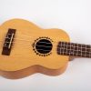 Bumblebee BUC22 Soprano Ukulele