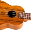 Flight NUS250 Soprano Ukulele - Acacia