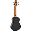 Ukulele Keiki K2-VP