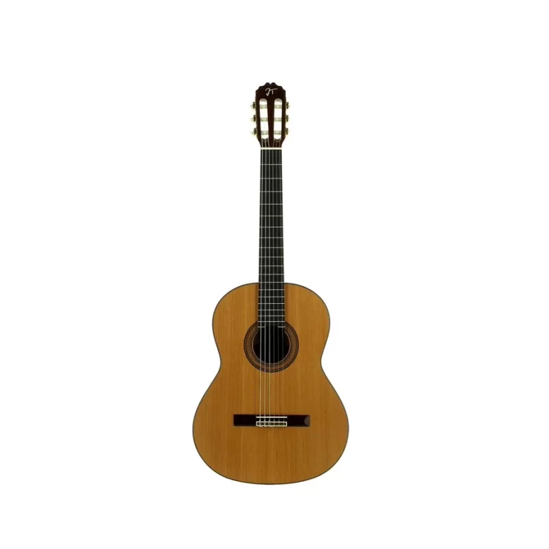 Chitarra Classica Jose Torres JTC-40