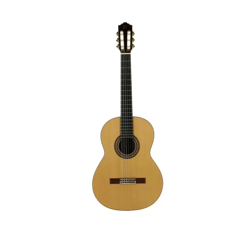 Chitarra Classica Spagnola Jose Torres JTC-50