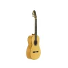 Chitarra Flamenco Jose Torres JTF-50