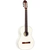 Chitarra Classica Ortega R121SNWH