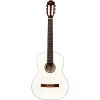 Chitarra Classica Ortega R121SNWH