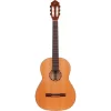 Chitarra Classica Ortega R122SN