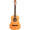 Chitarra Classica Spagnola Ortega R220