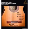 Pickguard trasparente per chitarra classica ORTEGA OPG-FLAM2