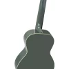 Chitarra Classica Ortega RGA-PLT