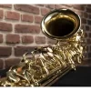 Sax Alto OQAN OAS-615