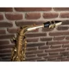 Sax Alto OQAN OAS-615