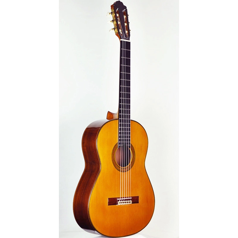 Chitarre Classiche Professionali Paulino Bernabe Chitarra P.Bernabe Mod.30 Tavola Cedro