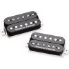 Pickup Seymour Duncan Alex Skolnick Signature Set