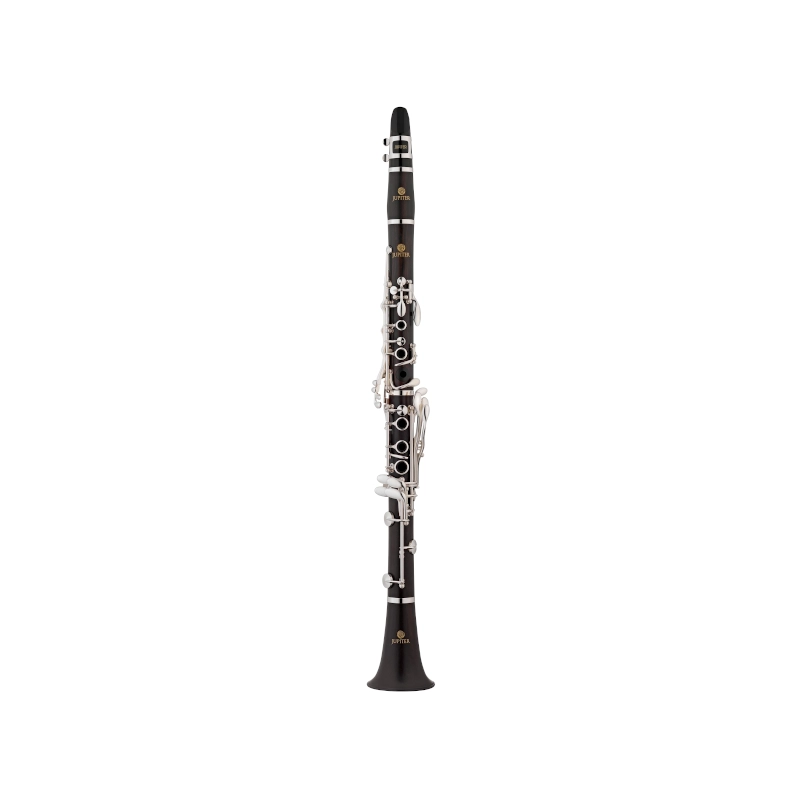 Clarinetto Jupiter JCL1100DS