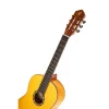 Chitarra classica Ortega R170F