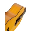 Chitarra classica Ortega R170F